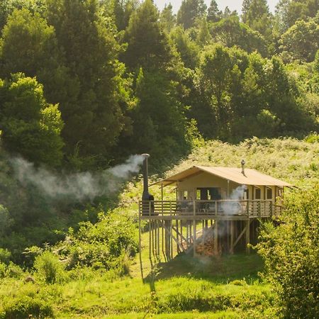 Africamps Magoebaskloof Villa Ngoại thất bức ảnh