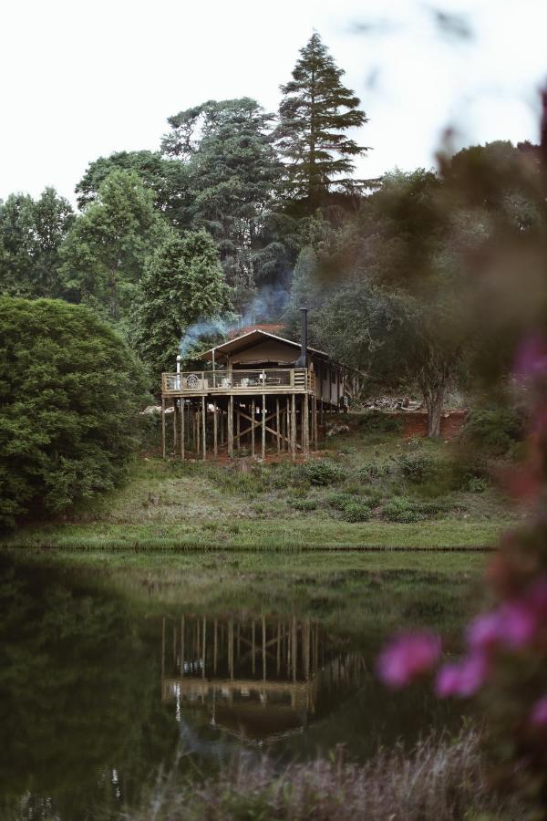 Africamps Magoebaskloof Villa Ngoại thất bức ảnh