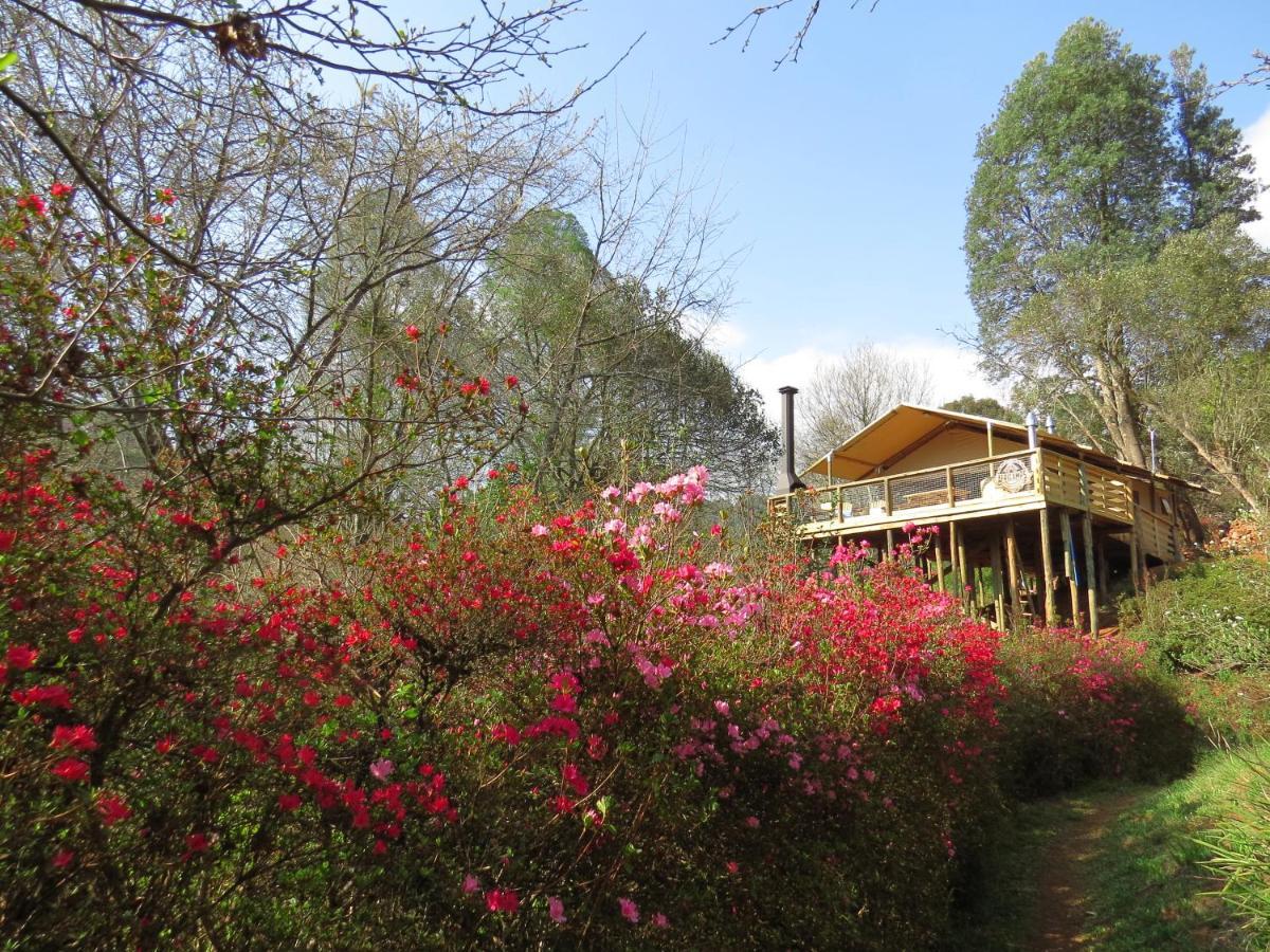 Africamps Magoebaskloof Villa Ngoại thất bức ảnh