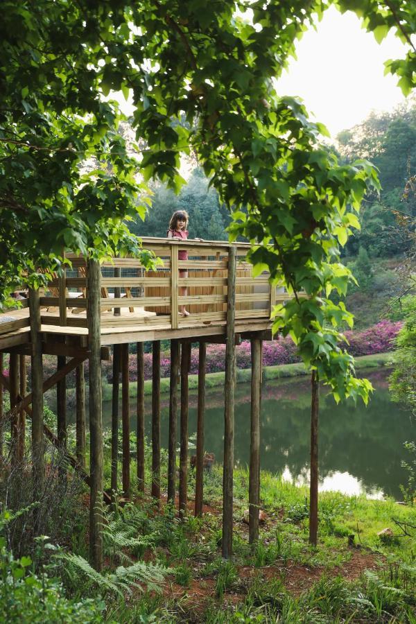 Africamps Magoebaskloof Villa Ngoại thất bức ảnh