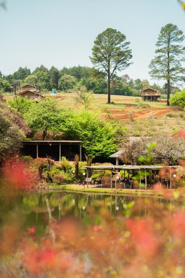 Africamps Magoebaskloof Villa Ngoại thất bức ảnh
