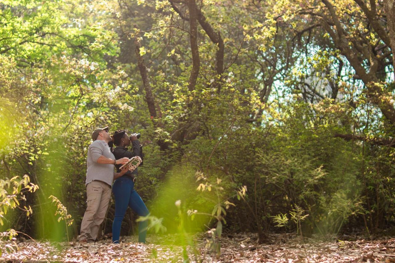 Africamps Magoebaskloof Villa Ngoại thất bức ảnh