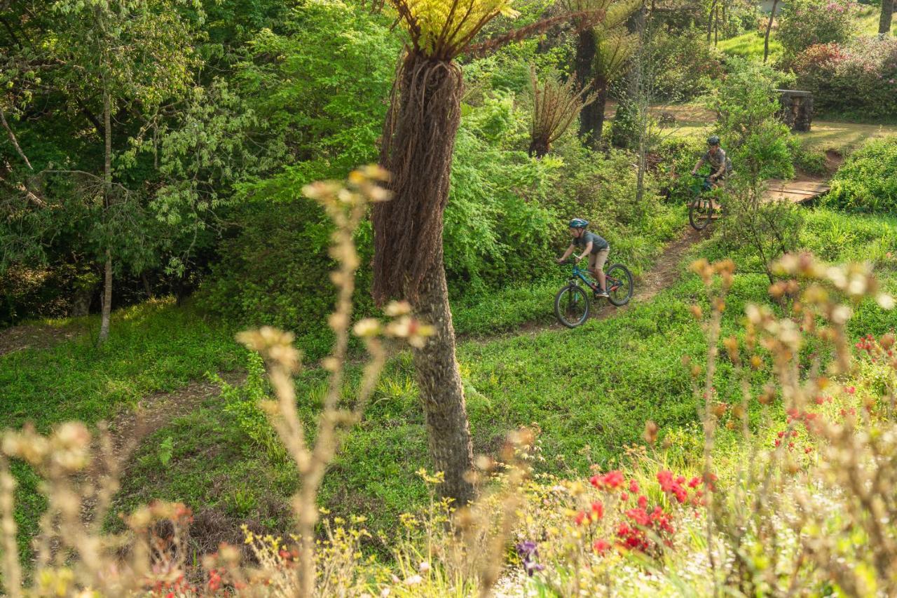 Africamps Magoebaskloof Villa Ngoại thất bức ảnh