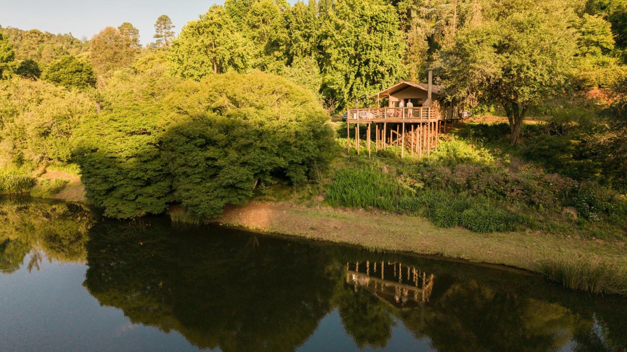 Africamps Magoebaskloof Villa Ngoại thất bức ảnh